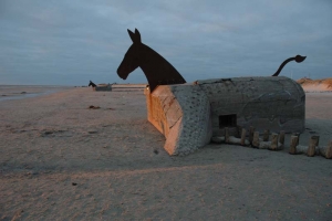 Trojanske heste i Blåvand(1)