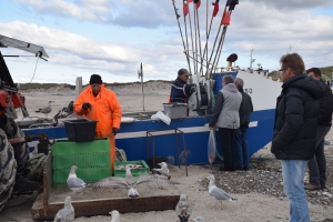Kystfiskeri fra Nørre Vorupør