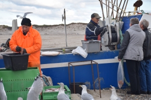 Kystfiskeri fra Nørre Vorupør