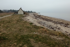 14. april 2018: Jord forurenet med tjære ved Stenene ved Langø. Foto: Ole Holbech