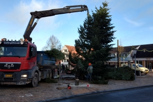Hærværk mod juletræ i Ringe