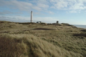 Blåvand(3)