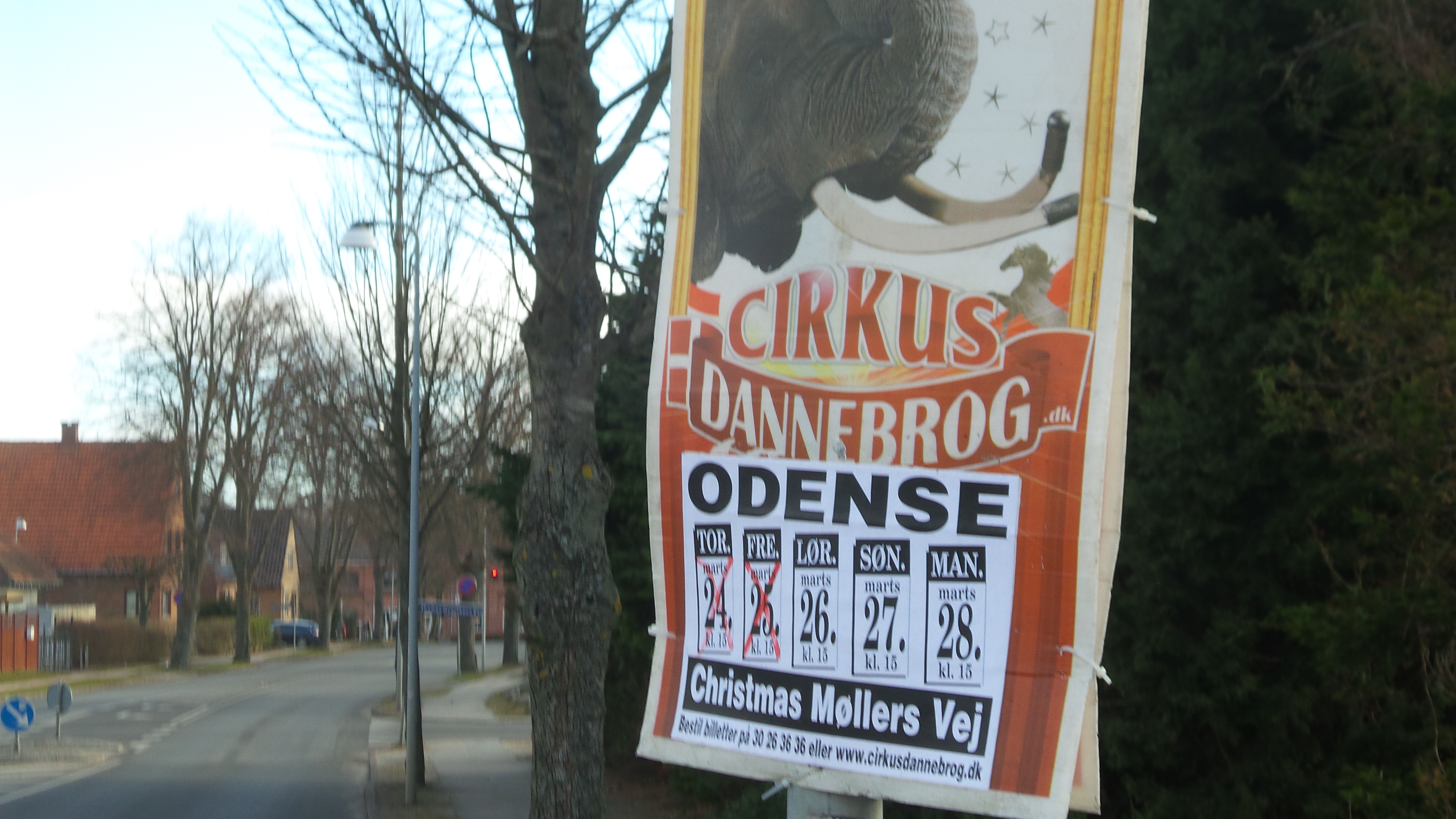 Konkursramt cirkus rejser sig i Odense_(3)