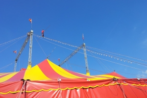 Cirkus