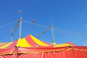 Cirkus(1)