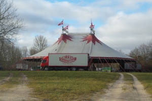 Konkursramt cirkus rejser sig i Odense_