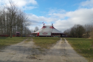 Konkursramt cirkus rejser sig i Odense_(1)