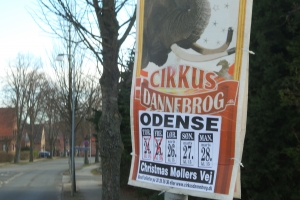 Konkursramt cirkus rejser sig i Odense_(3)