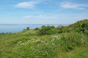 Gabet Odense Fjord(1)