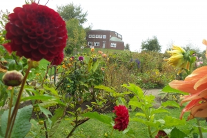 Noldemuseet i Seebüll i Tyskland