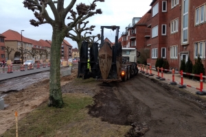 14. marts 2018: Ti fredede platantræer på Middelfartvej i Bolbro skal flyttes i forbindelse med letbanearbejdet. Hvert træ vurderes til at have en værdi af 100.000 kroner.  Foto: Ole Holbech