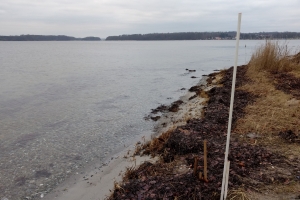 Skrillinge Strand ved Middelfart