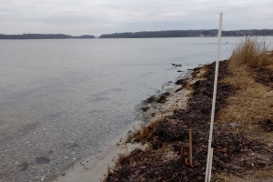 Skrillinge Strand ved Middelfart