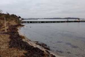 Skrillinge Strand ved Middelfart