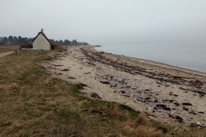 14. april 2018: Jord forurenet med tjære ved Stenene ved Langø. Foto: Ole Holbech