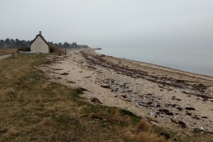 14. april 2018: Jord forurenet med tjære ved Stenene ved Langø. Foto: Ole Holbech