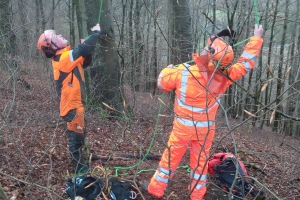 Sprænger træer med dynamit(3)