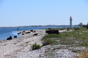 6. maj 2018: Enebærodde ved Odense Fjord. Foto: Ole Holbech