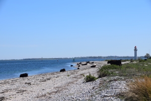 6. maj 2018: Enebærodde ved Odense Fjord. Foto: Ole Holbech