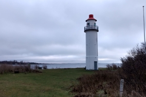 Enebærodde ved Odense Fjord.