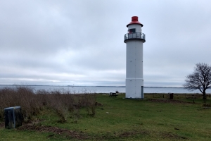 Enebærodde ved Odense Fjord.