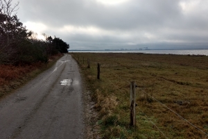 Enebærodde ved Odense Fjord.