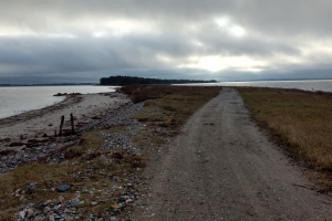 Enebærodde ved Odense Fjord.