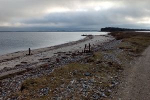 Enebærodde ved Odense Fjord.