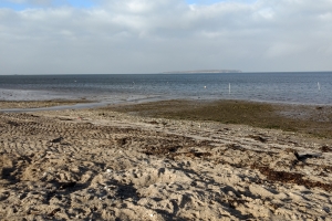 Nørrebyy Strand, Nordfyn