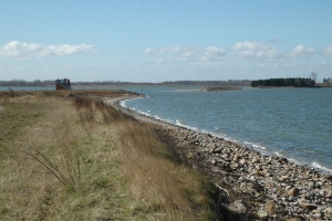 Gyldensteen Inddæmmede Strand ved Bogense