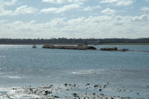 Gyldensteen Inddæmmede Strand ved Bogense