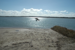 Gyldensteen Inddæmmede Strand ved Bogense