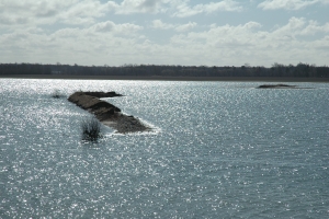 Gyldensteen Inddæmmede Strand ved Bogense