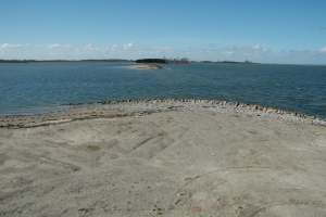 Gyldensteen Inddæmmede Strand ved Bogense