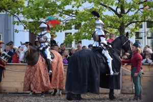 Ridderturnering i Nyborg