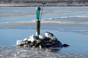 19. marts 2018 Odense Fjord og kanal. Foto: Ole Holbech