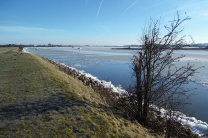 19. marts 2018 Odense Fjord og kanal. Foto: Ole Holbech