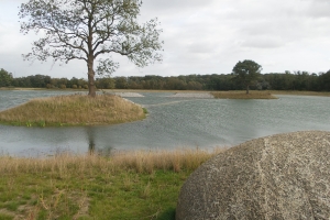 Ny sø ved Odense