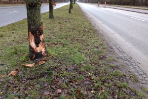 Trafikuheld i Vollsmose