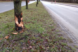 Trafikuheld i Vollsmose