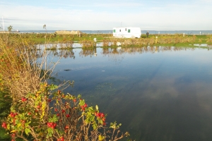 Ingen stormflodshjælp til campingplads_