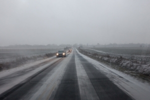 27. februar 2018: Snevejr. Foto: Ole Holbech