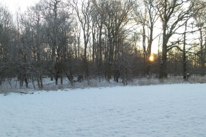 Solopgang i sne