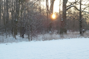 Solopgang i sne(1)