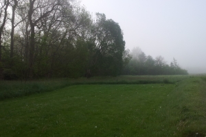 Vejr tåge(1)