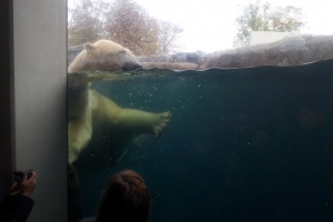 Københavns Zoo(1)